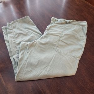 True Craft pants from Belk 22 (petite)